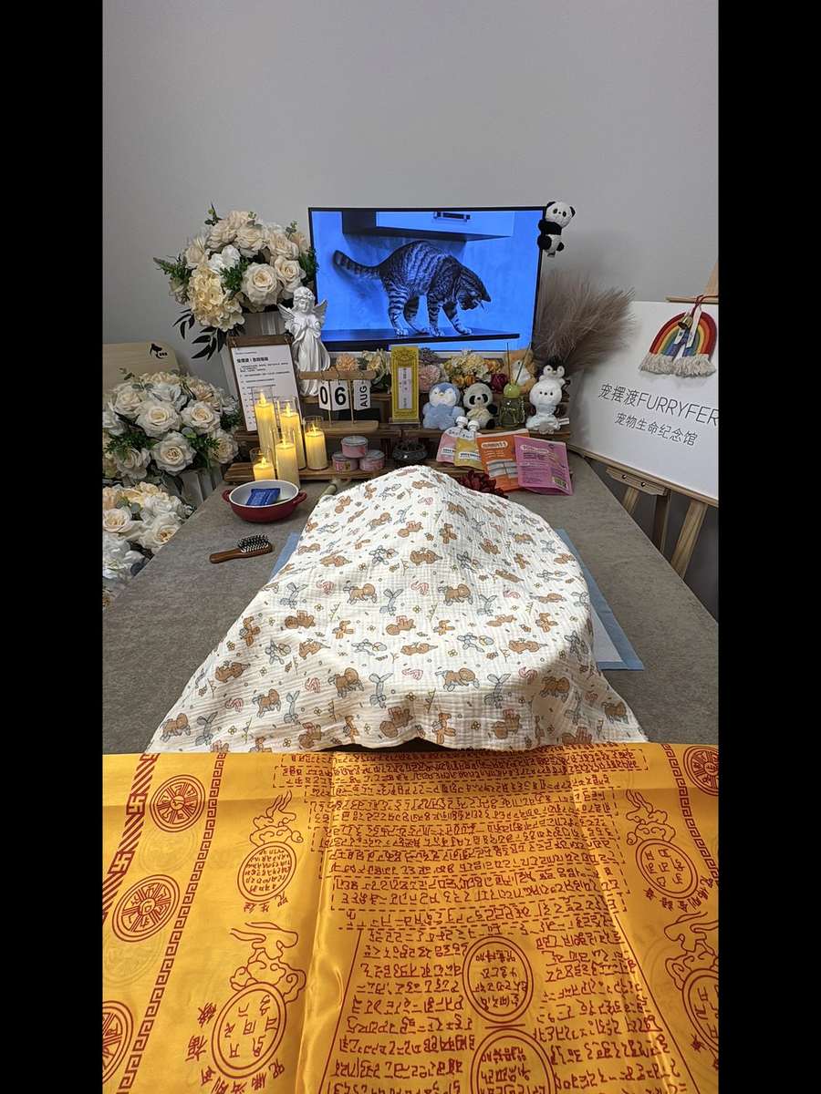 大连告别厅实景